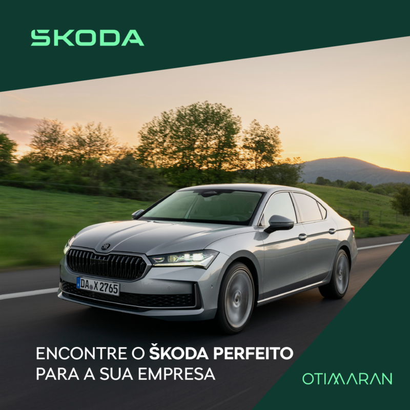 Skoda Empresas 1