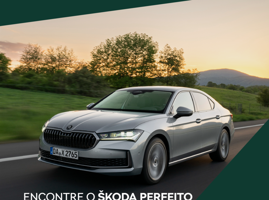 Skoda Empresas 1