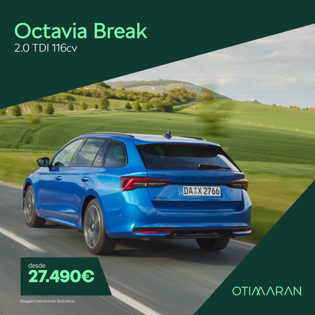 Octavia Break 2.0 TDI 116cv